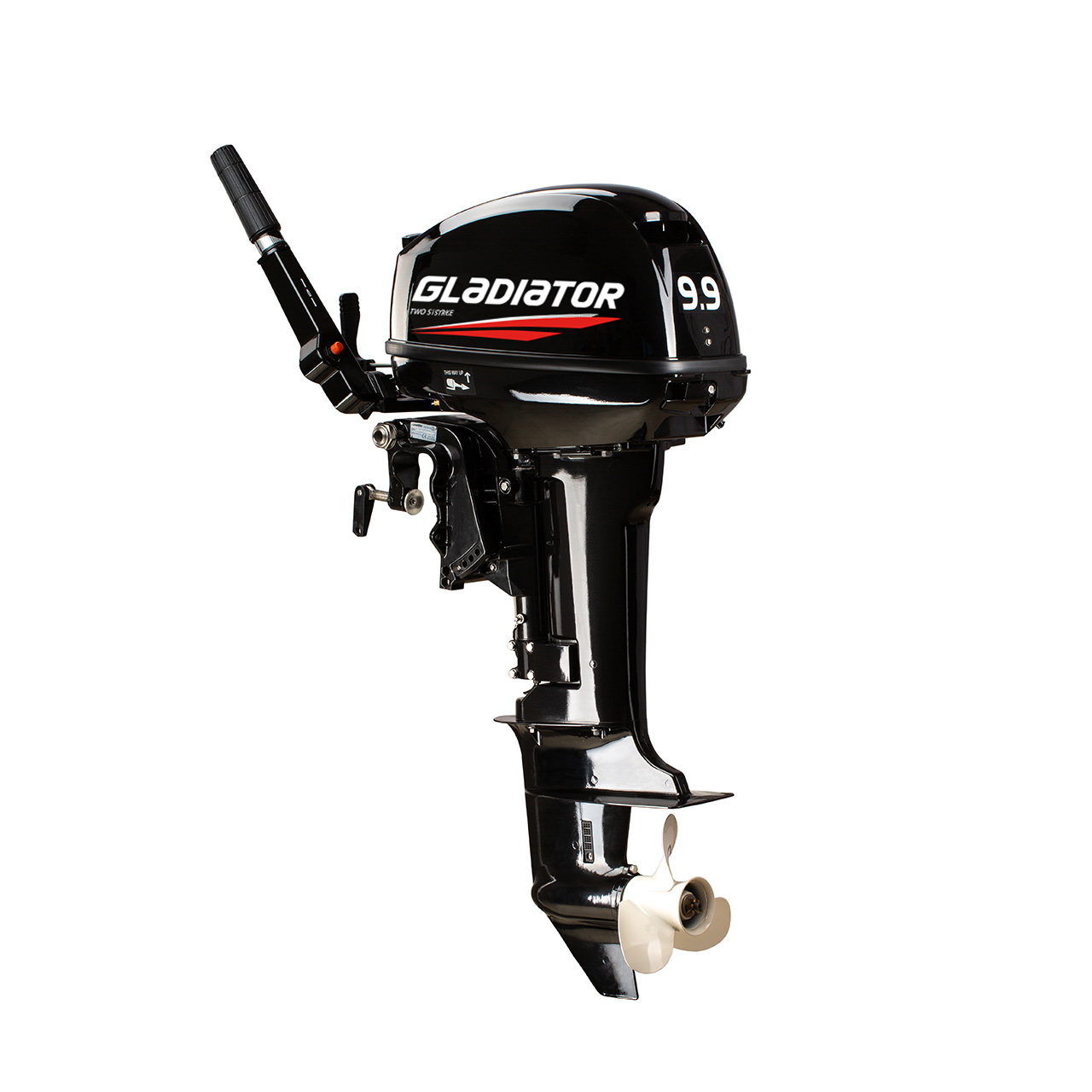 ЛОДОЧНЫЙ МОТОР GLADIATOR G9.9FHS в Костроме