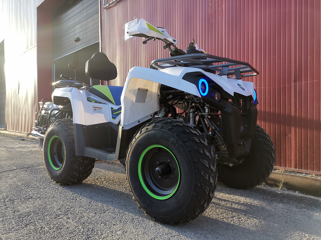 Квадроцикл PROMAX RENEGADE 280 LUX (2025) в Костроме