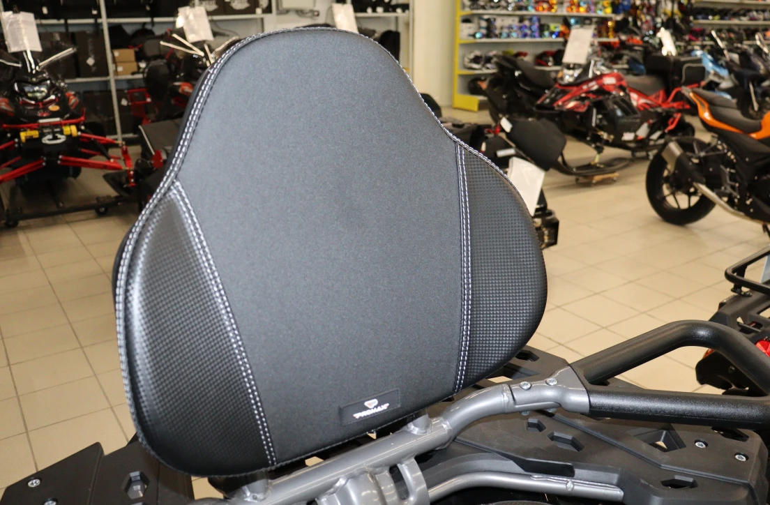 Квадроцикл PROMAX RENEGADE 300 LONG WINCH PRO (2025) в Костроме