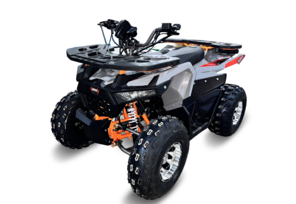 Квадроцикл GBM DAXTER 220 NEW PREMIUM в Костроме