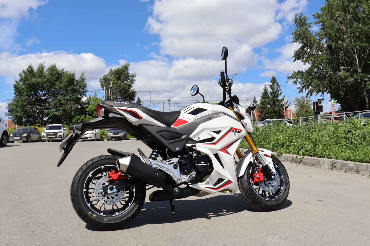 Мотоцикл PROMAX STRYKER 200(49) 2.0 в Костроме