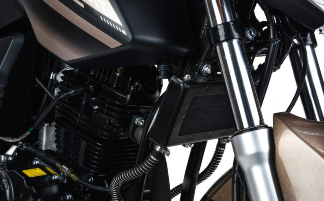 Мотоцикл MOTOLAND (МОТОЛЕНД) 300 BANDIT в Костроме