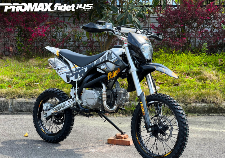 Мотоцикл (питбайк) PROMAX FIDET (ФАЙДЕТ) 145E PRO 17/14 в Костроме