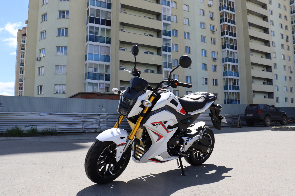 Мотоцикл PROMAX STRYKER 200(49) 2.0 в Костроме