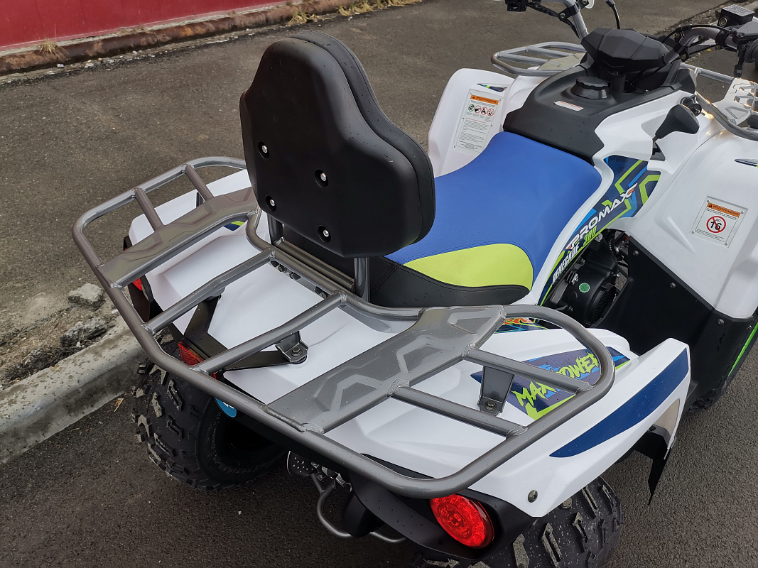 Квадроцикл PROMAX RENEGADE 280 LUX (2025) в Костроме