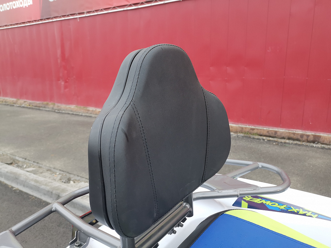 Квадроцикл PROMAX RENEGADE 280 LUX (2025) в Костроме