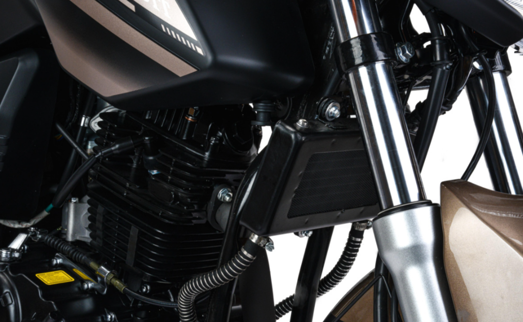 Мотоцикл MOTOLAND (МОТОЛЕНД) 300 BANDIT в Костроме