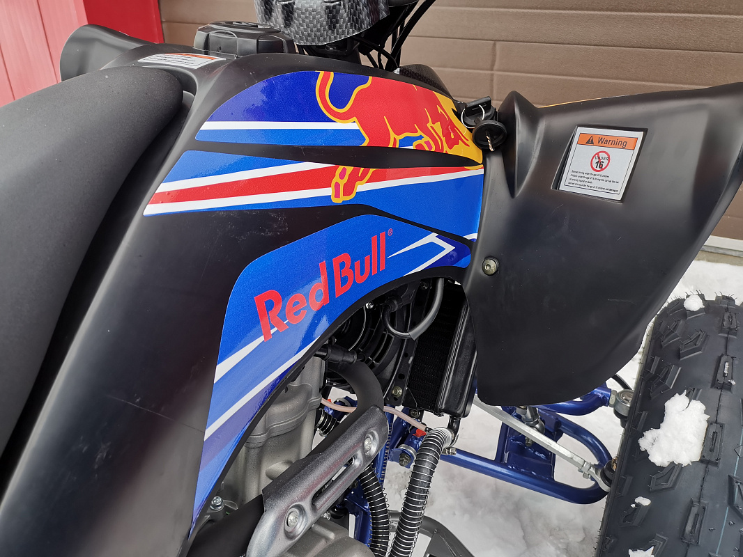 Квадроцикл PROMAX RAPTOR 300 NEW RedBull в Костроме