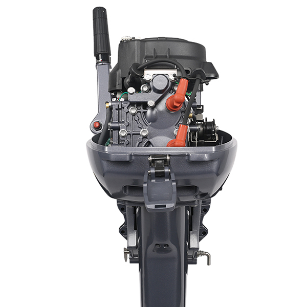 ЛОДОЧНЫЙ МОТОР ALLFA CG Т9,9 Limit в Костроме