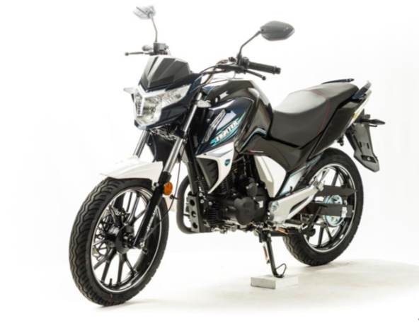 Мотоцикл MOTOLAND (МОТОЛЕНД) FIGHTER 250 в Костроме