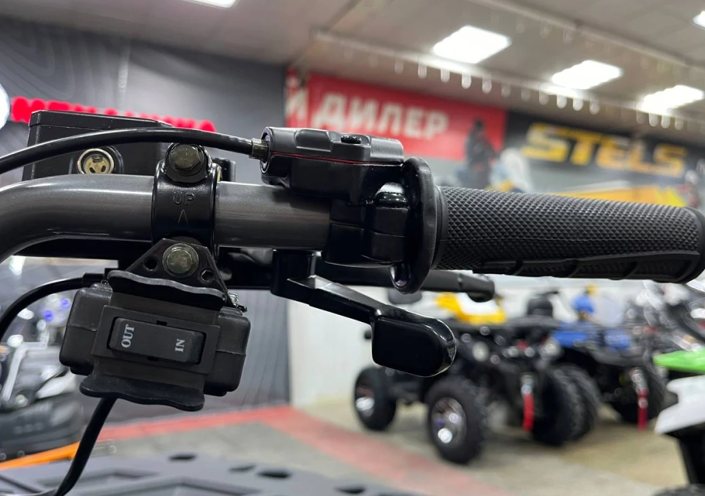 Квадроцикл PROMAX RENEGADE 300 LONG WINCH PRO (2025) в Костроме