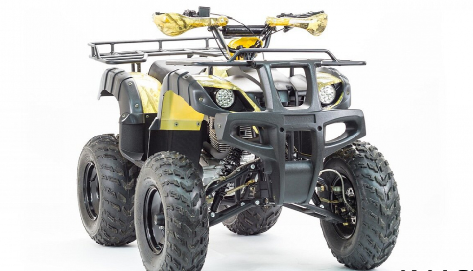 Квадроцикл MOTOLAND (МОТОЛЕНД) 250 ADVENTURE в Костроме