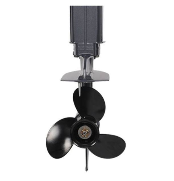 Лодочный мотор ALLFA CG Т40FW S в Костроме