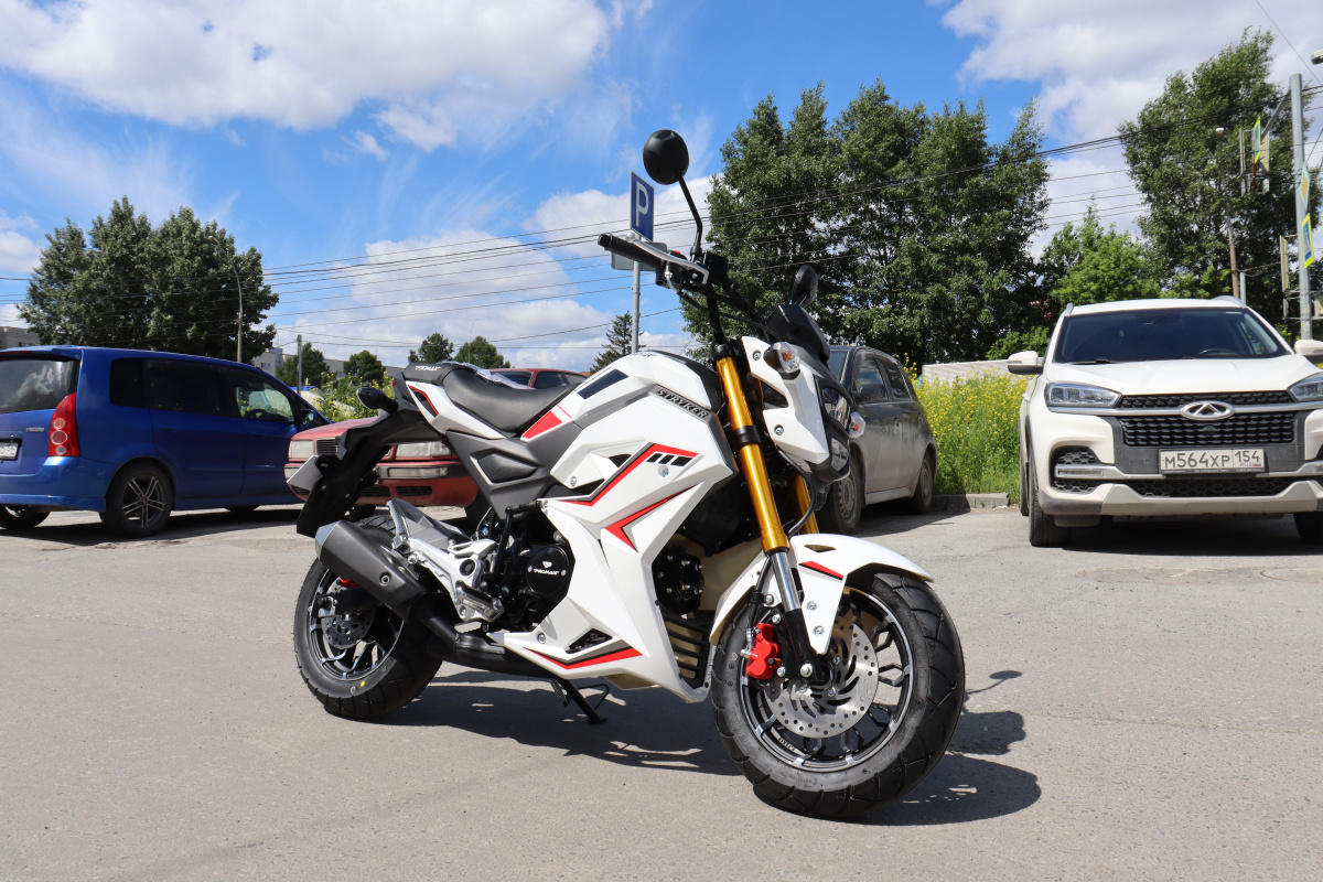 Мотоцикл PROMAX STRYKER 200(49) 2.0 в Костроме