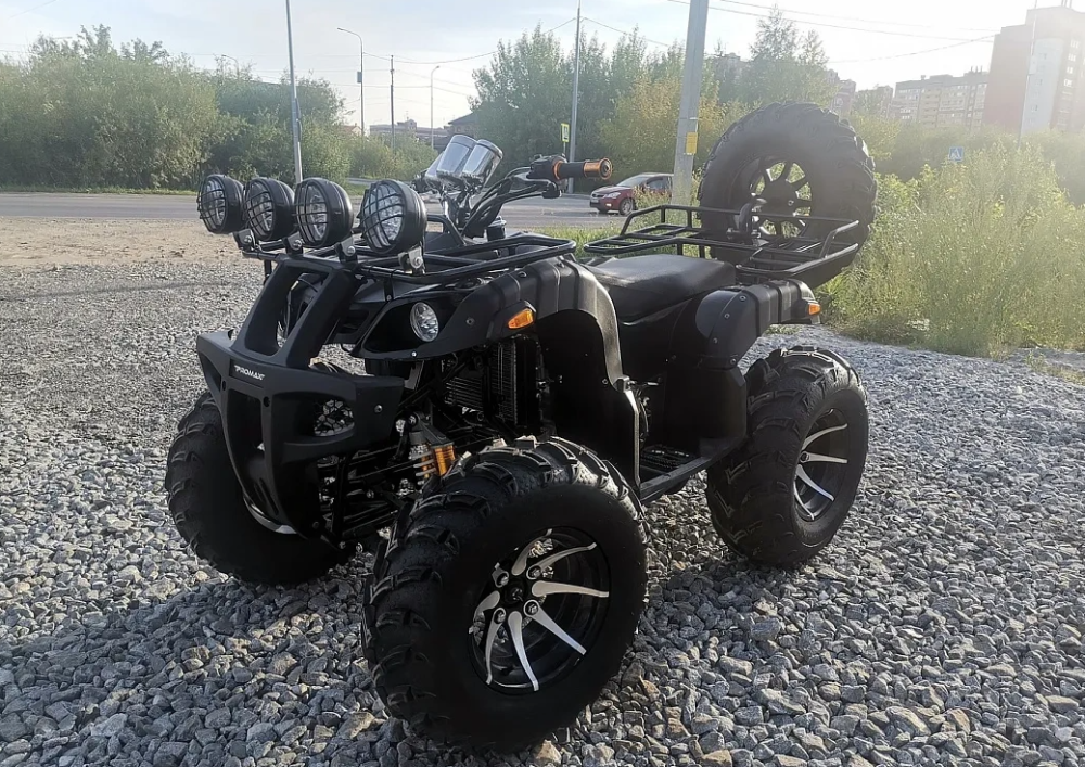 Квадроцикл PROMAX LEO 300 Max (кардан) в Костроме