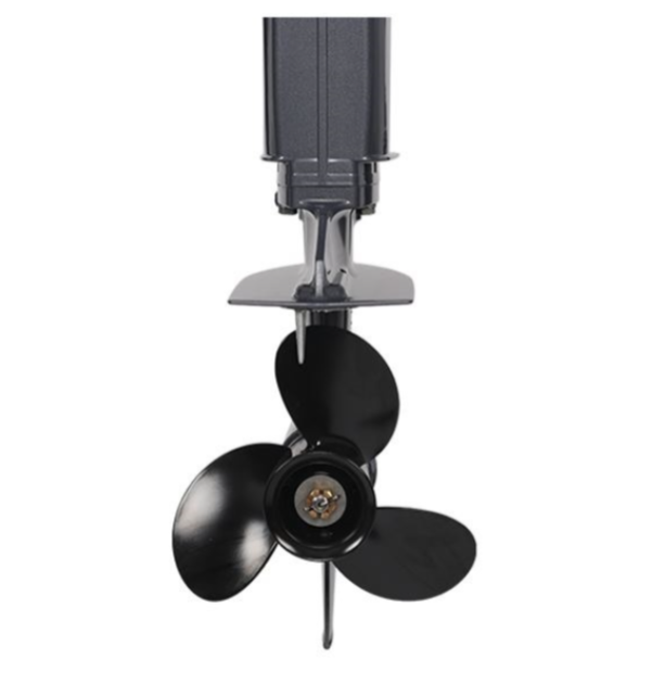 Лодочный мотор ALLFA CG Т40FWT S в Костроме