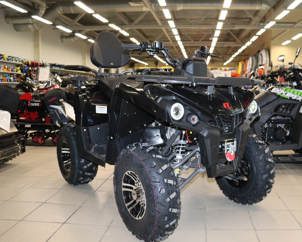 Квадроцикл PROMAX RENEGADE 300 LONG WINCH PRO (2025) в Костроме