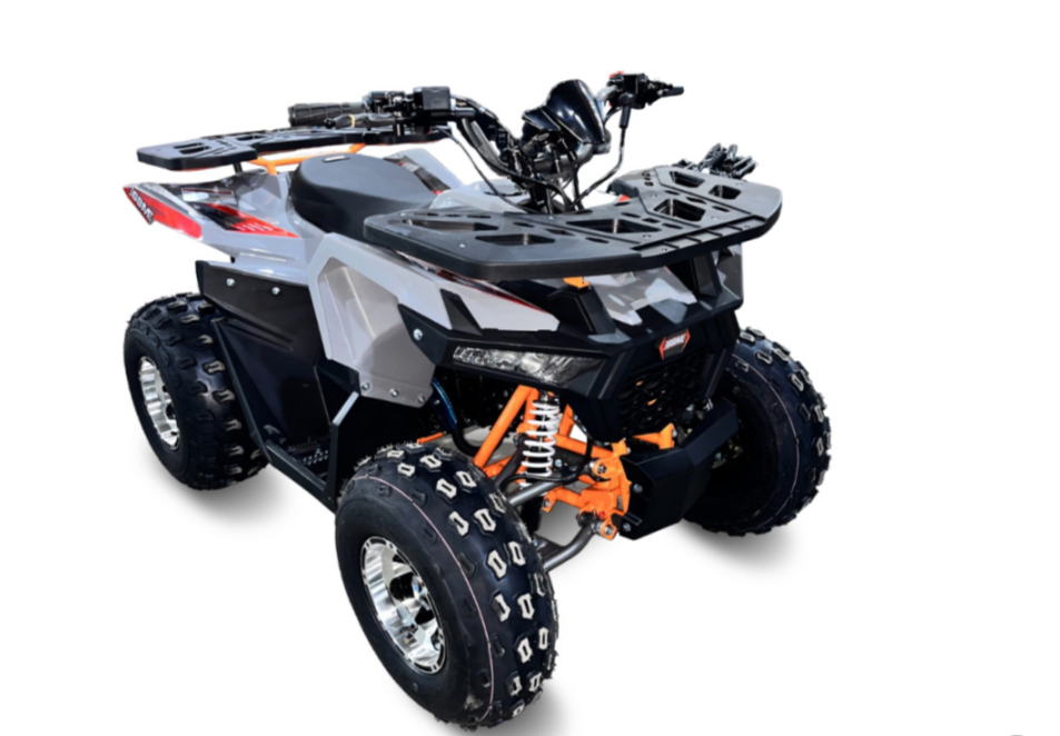 Квадроцикл GBM DAXTER 220 NEW PREMIUM в Костроме