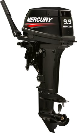 ЛОДОЧНЫЙ МОТОР MERCURY 9.9 MH TMC 247 CC в Костроме