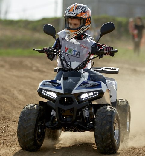 Квадроцикл Yacota Raposa 110 в Костроме