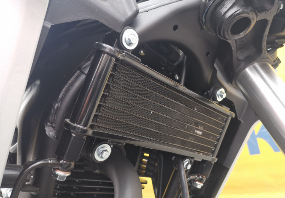 Мотоцикл MOTOLAND (МОТОЛЕНД) 250 CB250 (172FMM-5/PR250) (2022 г.) в Костроме