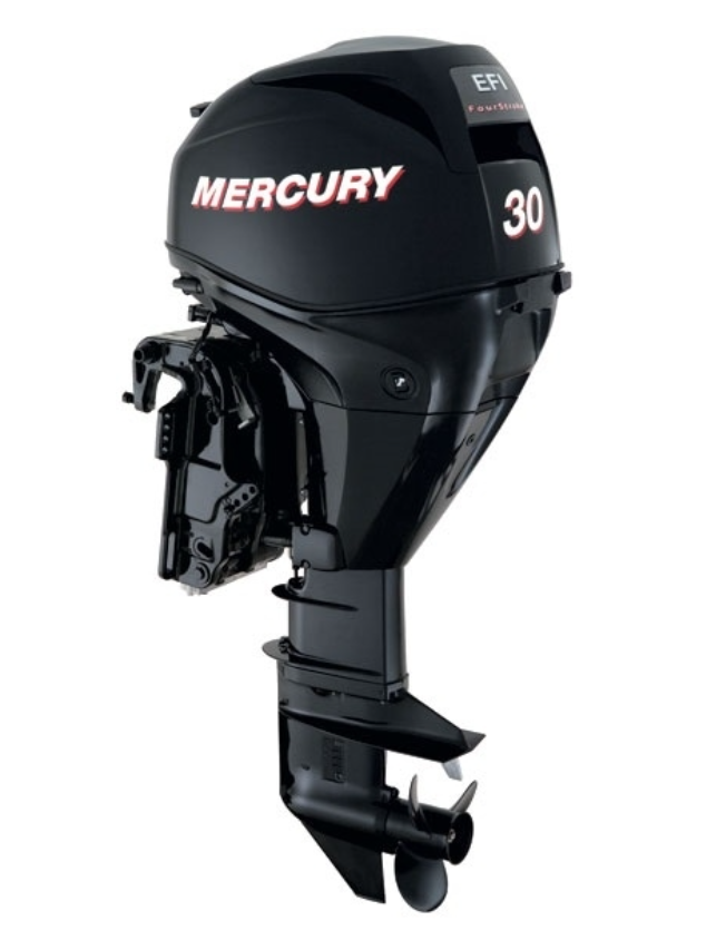 ЛОДОЧНЫЙ МОТОР MERCURY  F 30 ELH GA EFI в Костроме