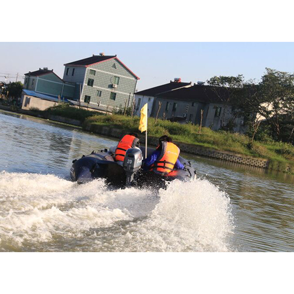 ЛОДОЧНЫЙ МОТОР ALLFA CG Т20 в Костроме