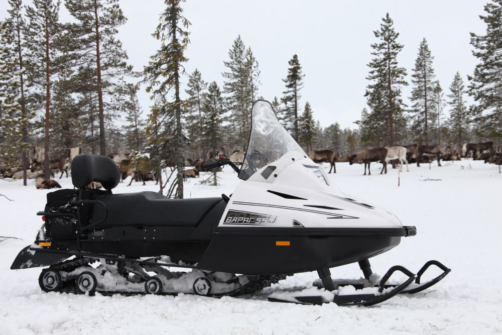 СНЕГОХОД РМ ТАЙГА ВАРЯГ 550 V в Костроме