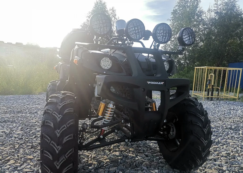 Квадроцикл PROMAX LEO 300 Max (кардан) в Костроме