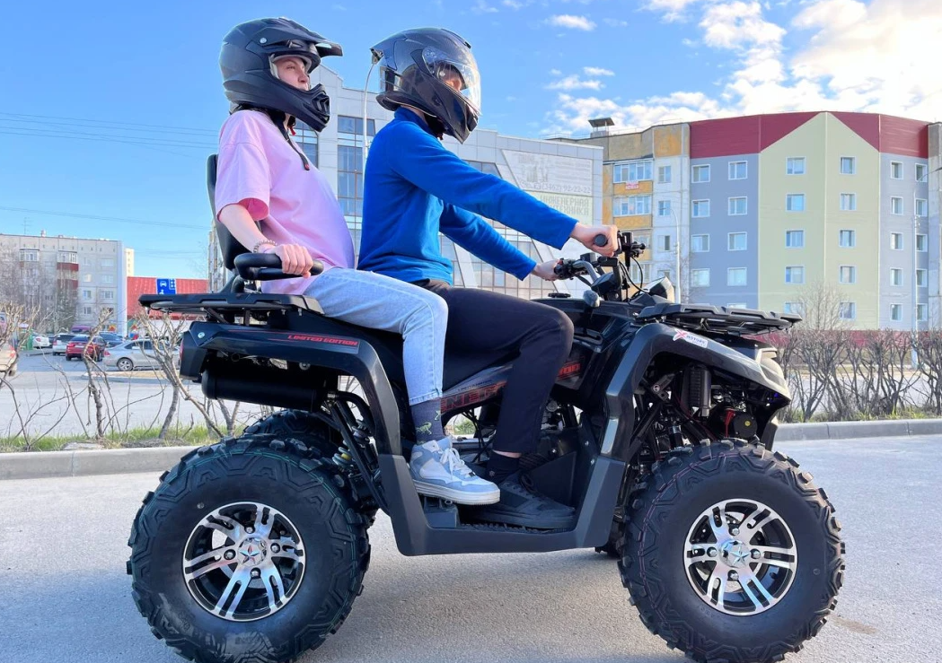 Квадроцикл PROMAX RENEGADE 300 LONG WINCH PRO (2025) в Костроме