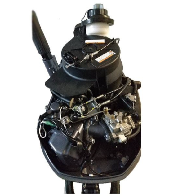 Лодочный мотор ALLFA CG F6 в Костроме