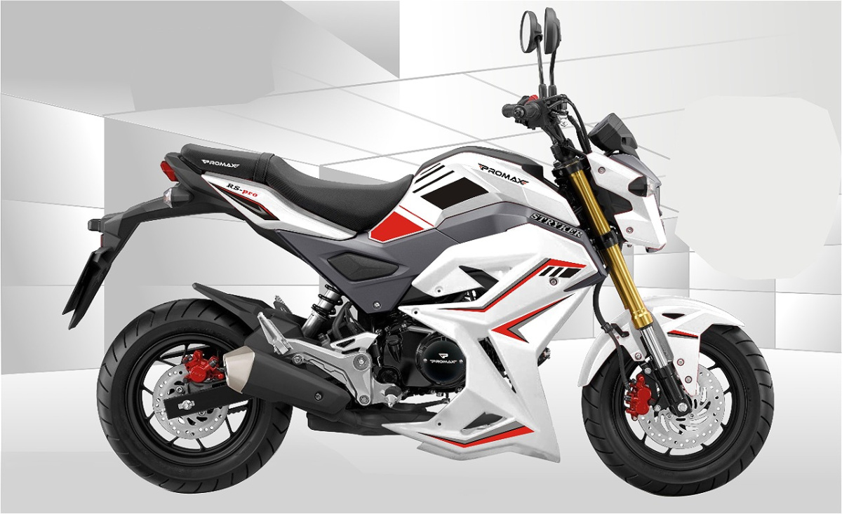 Мотоцикл PROMAX STRYKER 200(49) 2.0 в Костроме