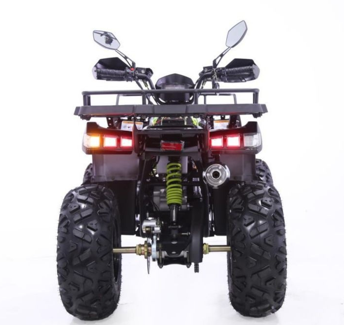 Квадроцикл YACOTA WARRIOR 200 PRO в Костроме