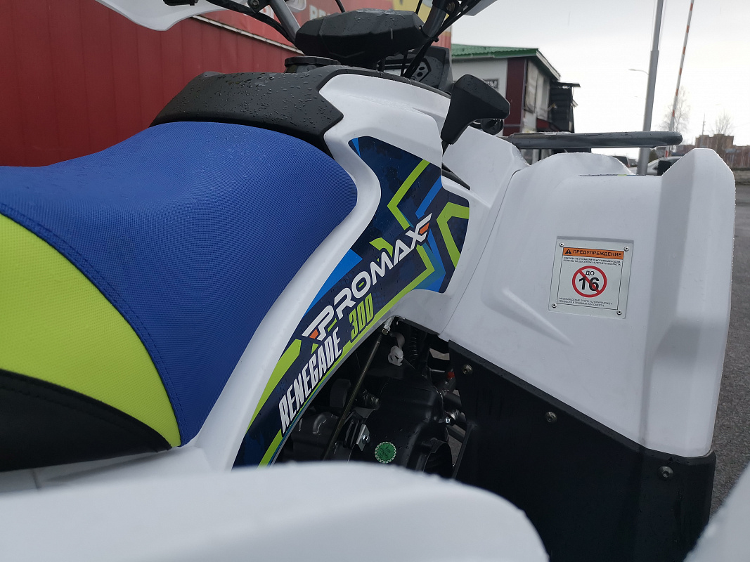 Квадроцикл PROMAX RENEGADE 280 LUX (2025) в Костроме