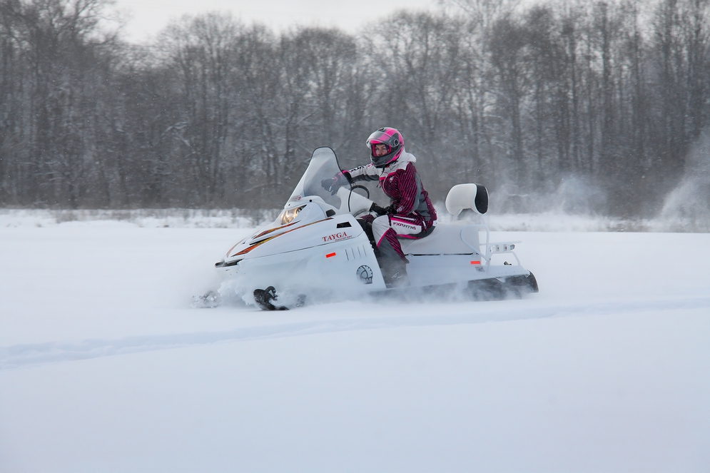 СНЕГОХОД РМ ТАЙГА ПАТРУЛЬ 551 SWT в Костроме