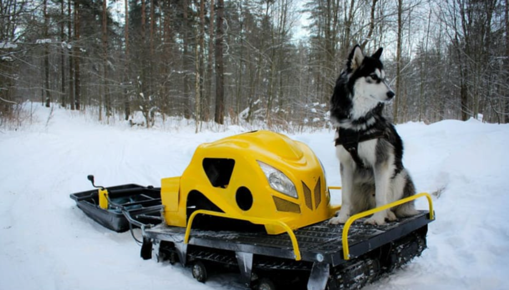 Мотобуксировщик LEBEDEV MOTORS ВОЛКОДАВ POWER V13 в Костроме