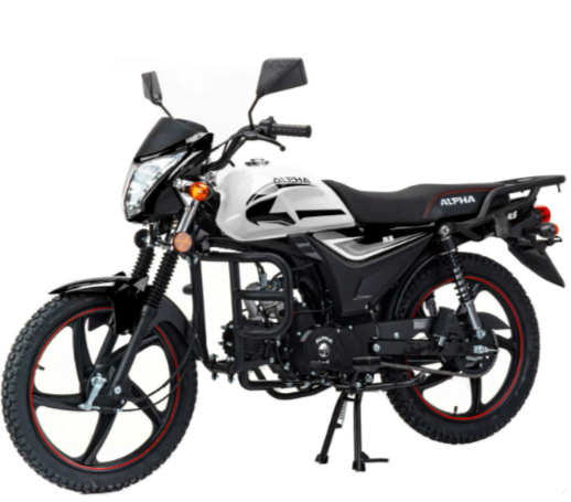 Мопед MOTOLAND (МОТОЛЕНД) Альфа RS 11 (LM48-B) в Костроме