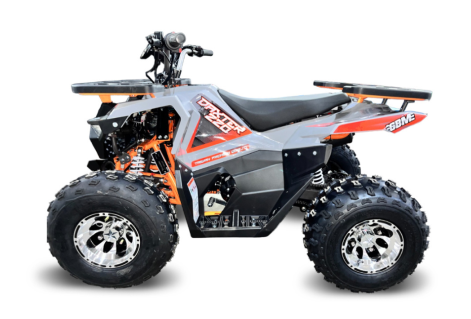 Квадроцикл GBM DAXTER 220 NEW PREMIUM в Костроме