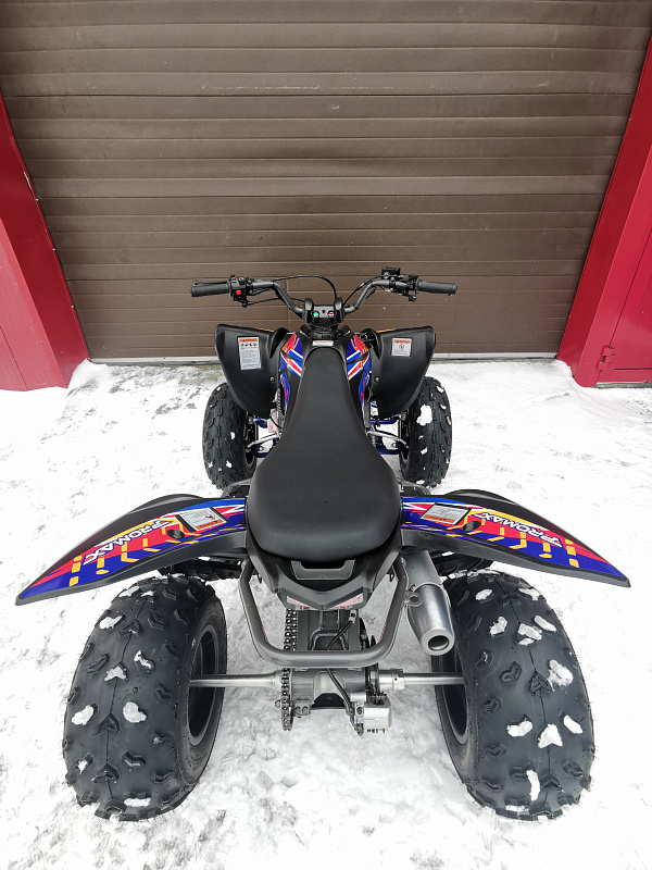 Квадроцикл PROMAX RAPTOR 300 NEW RedBull в Костроме