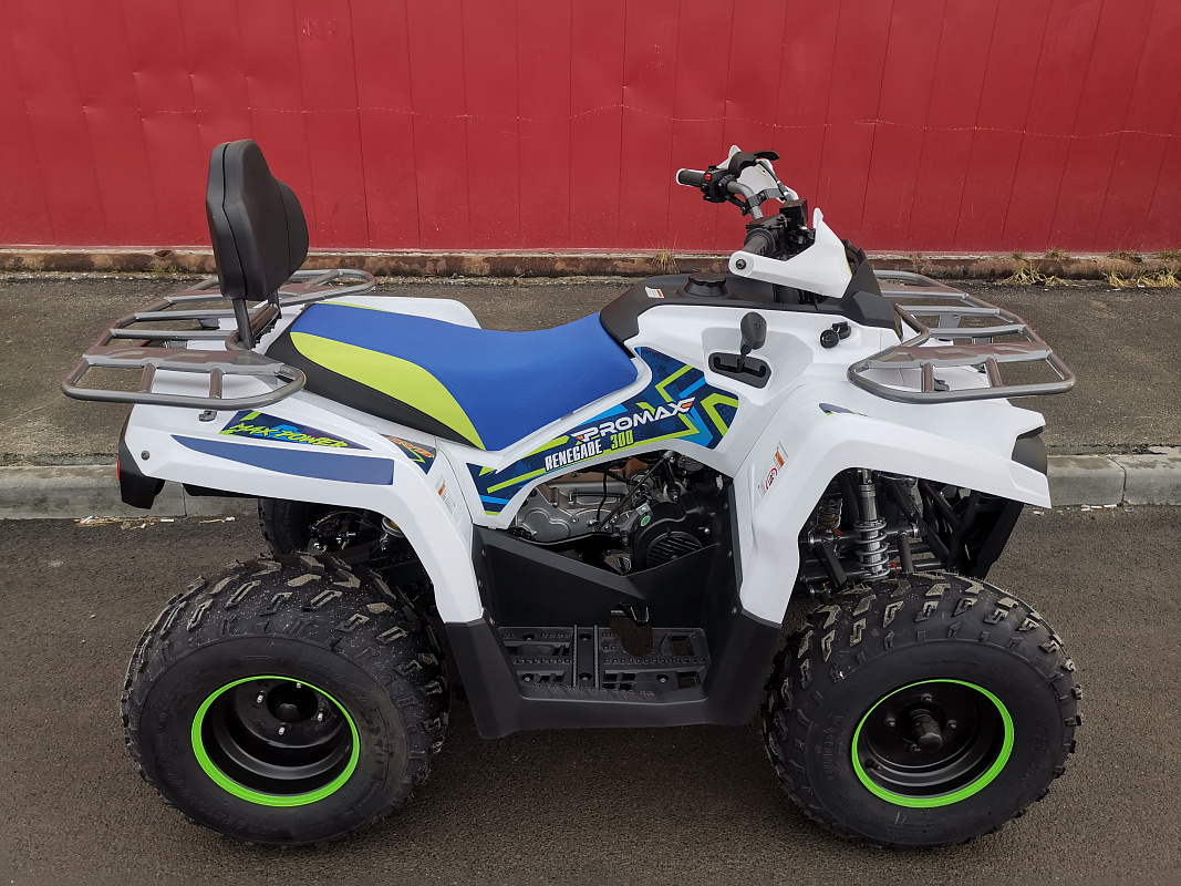 Квадроцикл PROMAX RENEGADE 280 LUX (2025) в Костроме