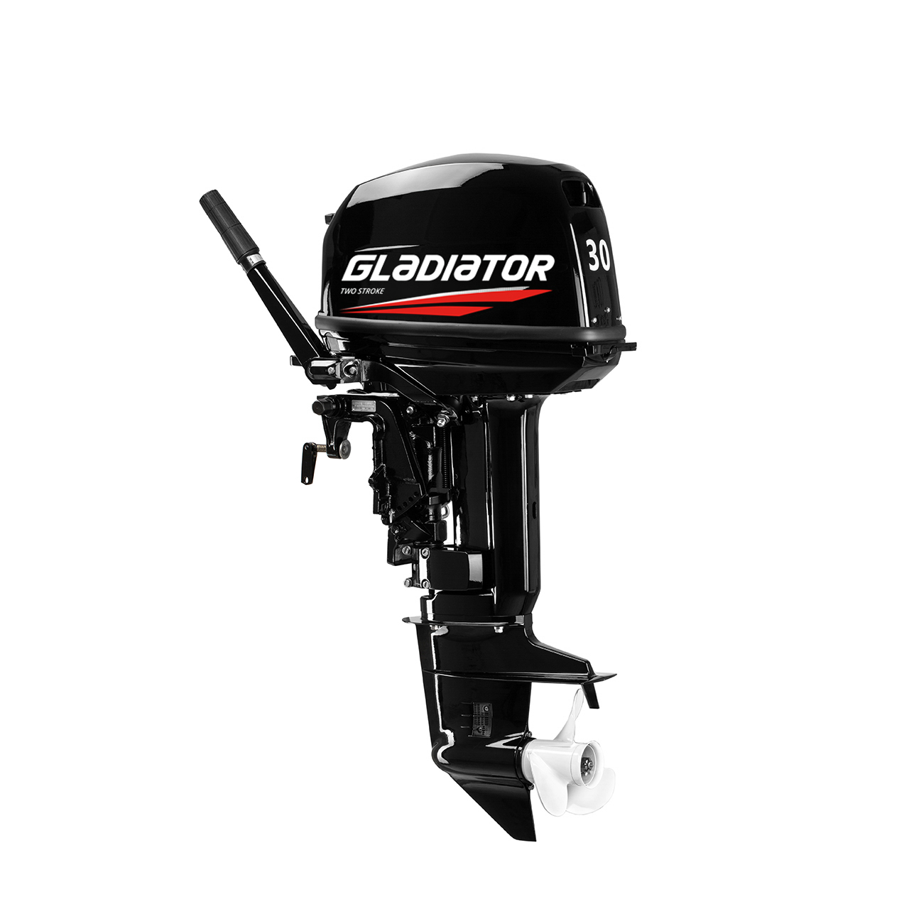 ЛОДОЧНЫЙ МОТОР GLADIATOR G30FHS в Костроме