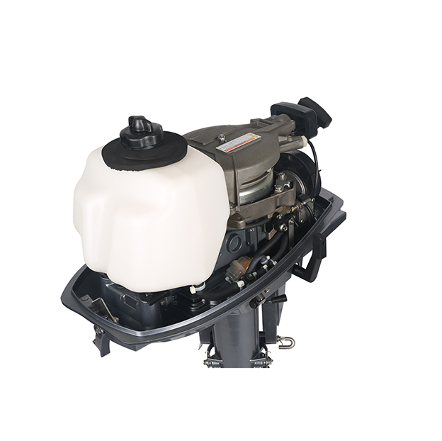 ЛОДОЧНЫЙ МОТОР ALLFA CG T5 в Костроме