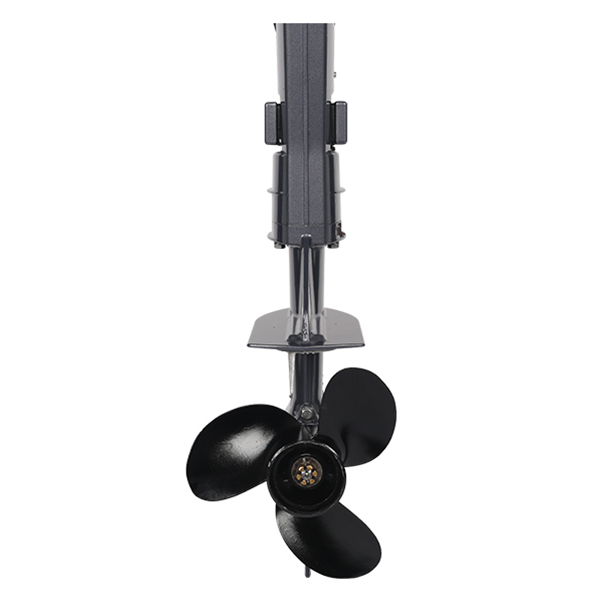 ЛОДОЧНЫЙ МОТОР ALLFA CG T5 в Костроме