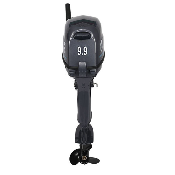 Лодочный мотор ALLFA CG Т9.9(20)MAX в Костроме