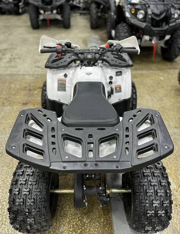 Квадроцикл PROMAX WILD 2.0 190 в Костроме