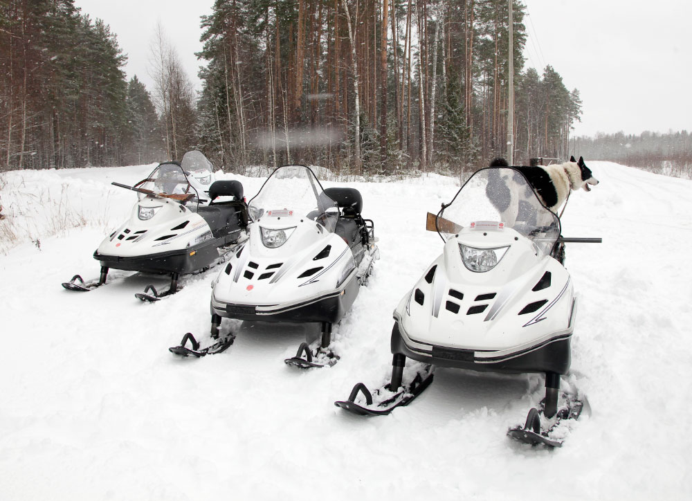 СНЕГОХОД РМ ТАЙГА ВАРЯГ 550 V в Костроме