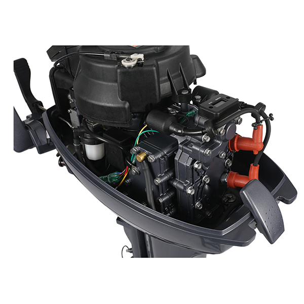 ЛОДОЧНЫЙ МОТОР ALLFA CG Т9,9 Limit в Костроме