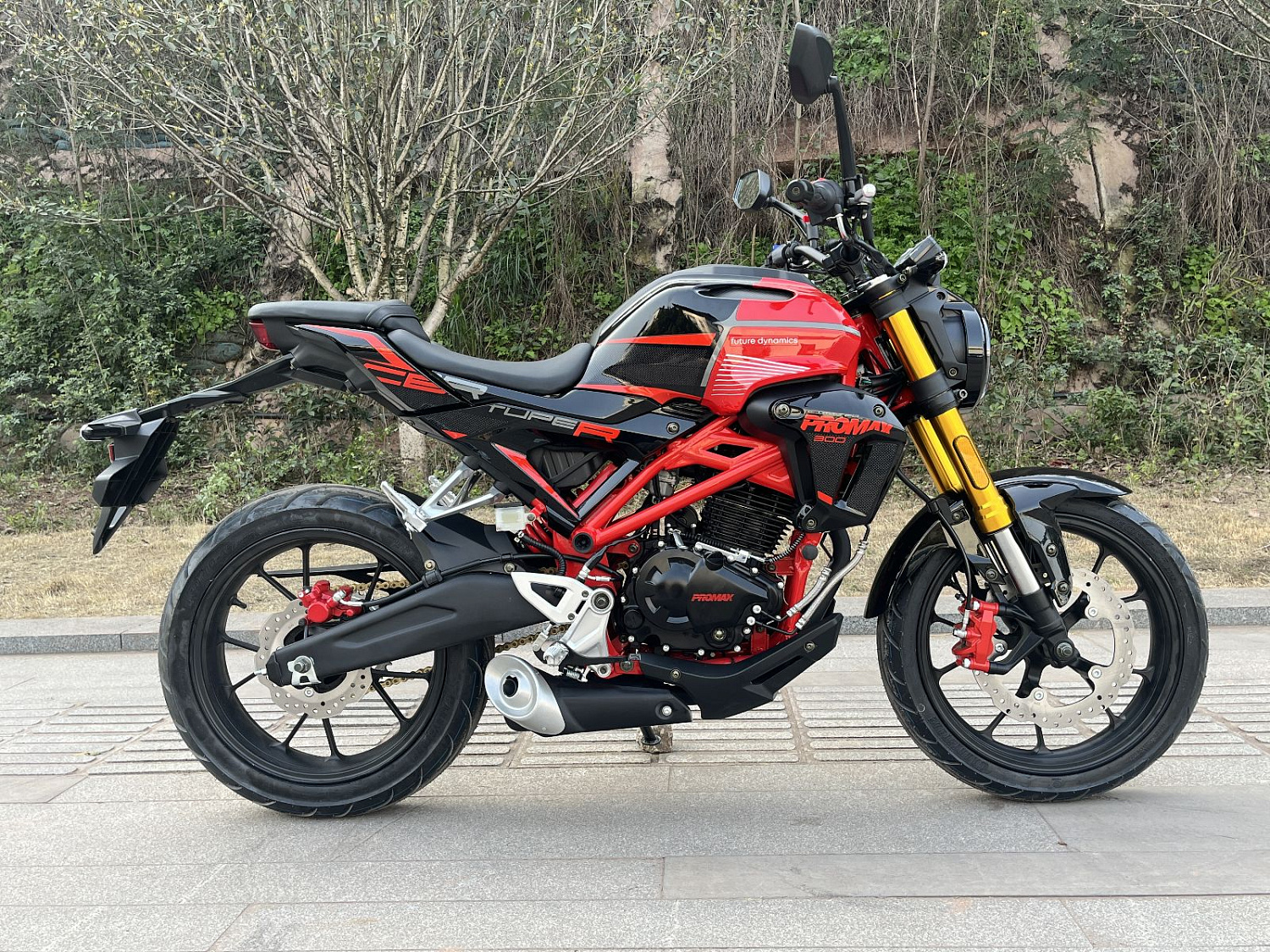 Мотоцикл PROMAX CB300 в Костроме