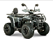 Квадроцикл YACOTA DRAGON LUX LD 150 PRO-SPORT в Костроме