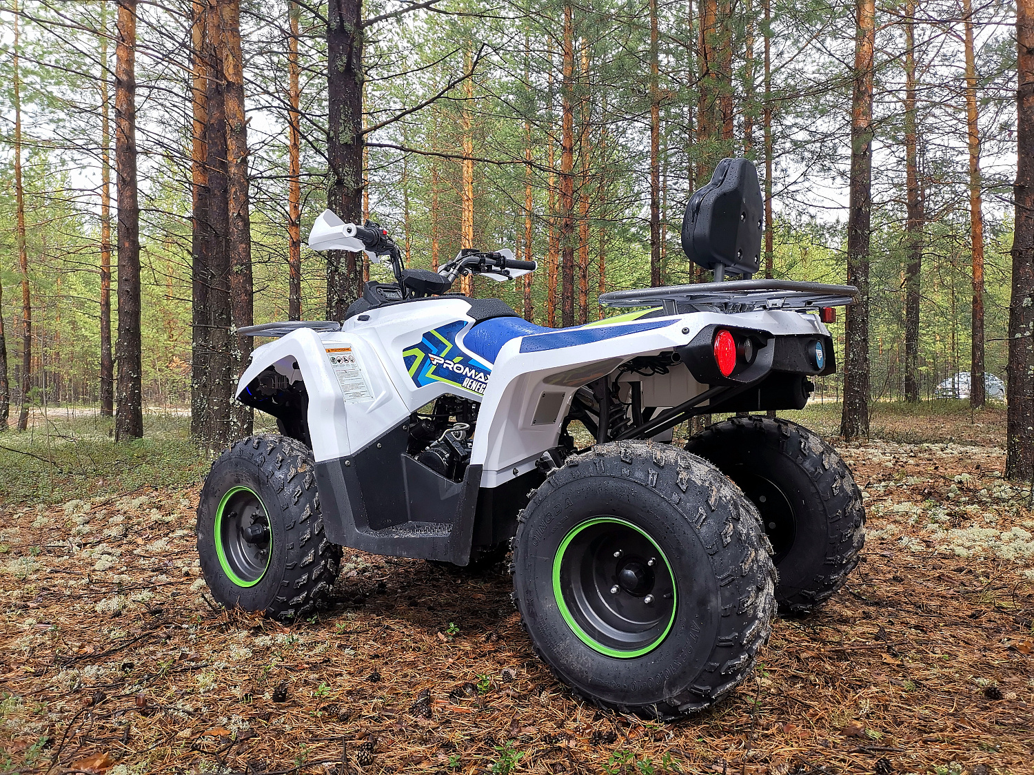 Квадроцикл PROMAX RENEGADE 280 (2025) в Костроме